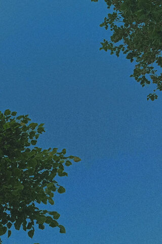Tranquil Sky View 🌳☀️