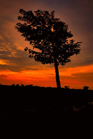 Serene Sunset Silhouett..
