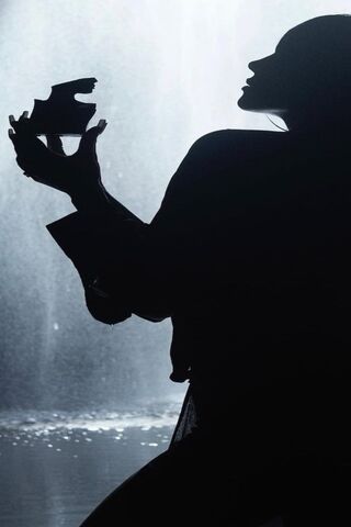 Silhouette of Elegance 🌌✨