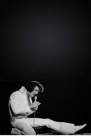The King in Action 🎤✨