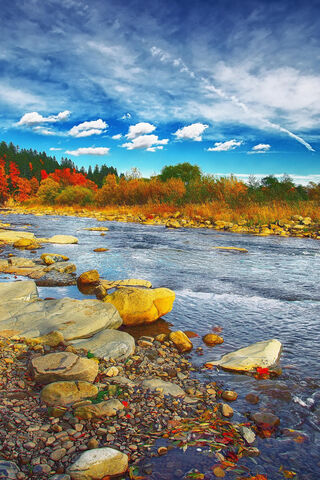 Serene River Retreat 🌊🍂