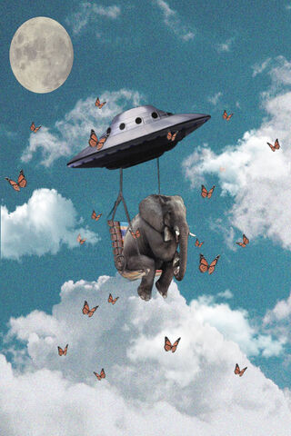 Cosmic Elephant Adventu..