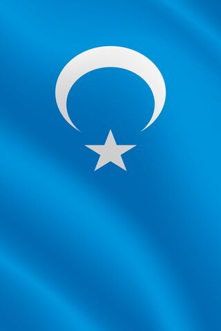 Flag of the Turkic World 🌟
