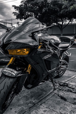Petals of Power: The Repsol Racer