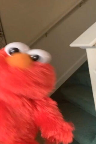Elmo's Playful Peek-a-B..
