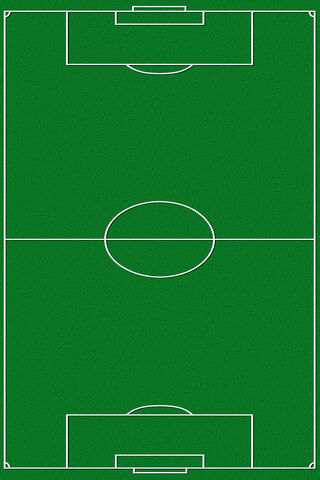 The Heart of the Game: A Soccer Field ⚽️🌿
