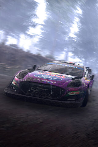 Thrill of the Rally 🚗💨