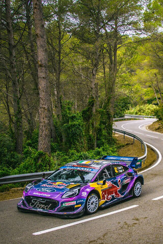 Thrilling Rally Adventure 🚗💨