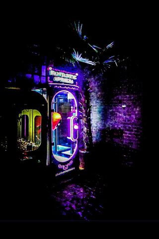 Neon Vibes at Night 🌌✨