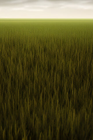 Lush Green Fields 🌾🌿