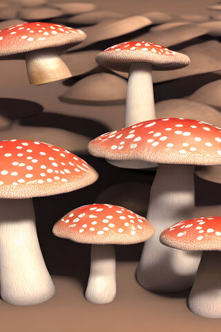 Enchanted Mushroom Wond..