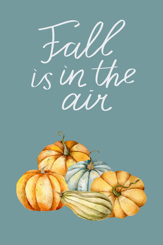 Fall Is In The Air
