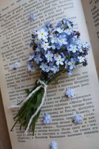 Whispers of Nature: A F..