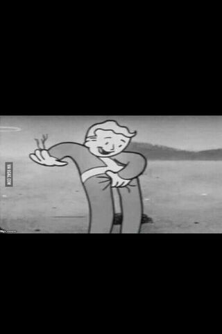 Wacky Vault Boy's Silly..