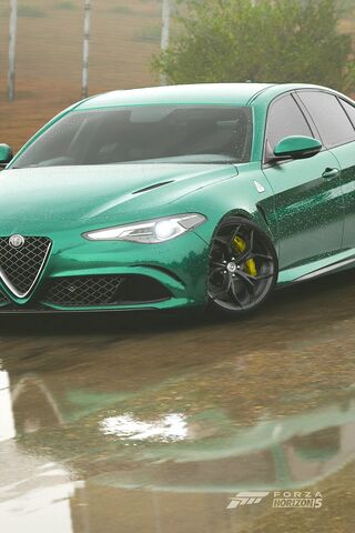 FH5 Giulia
