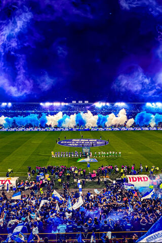 Fc Design
