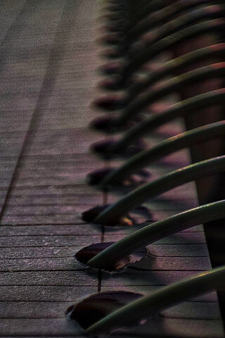 Curved Lines of Harmony..