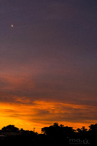 Serene Sunset with a Crescent Moon 🌅🌙