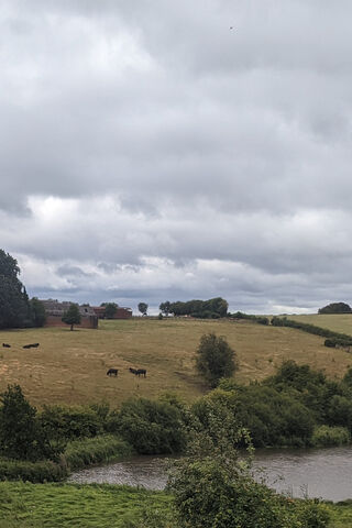 Tranquil Countryside Scene 🌾🐄