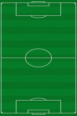 The Perfect Pitch! ⚽️🌿