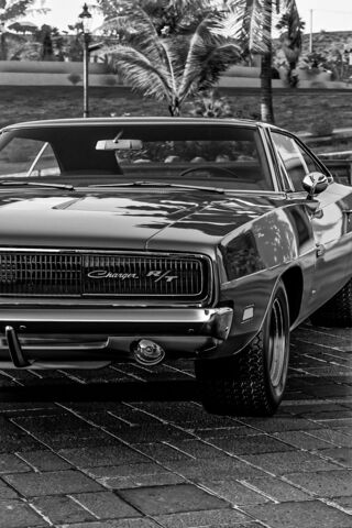 Classic Power: The 1969 Dodge Charger