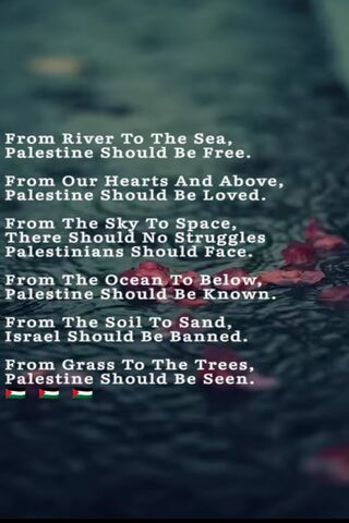 Voices for Palestine 🌍✊