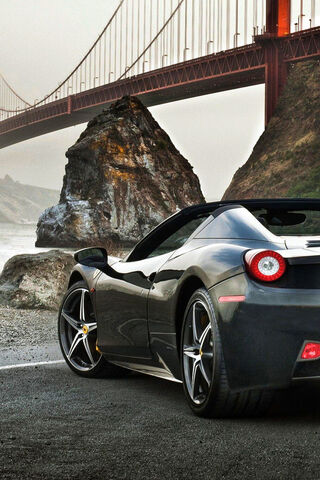 Sleek Ride by the Golden Gate 🌉🚗