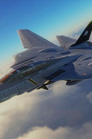Soaring High: The F-14 ..