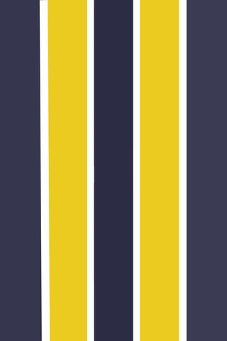 Bold Stripes of Color 🎨