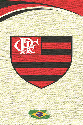 Flamengo's Iconic Emblem 🇧🇷⚽