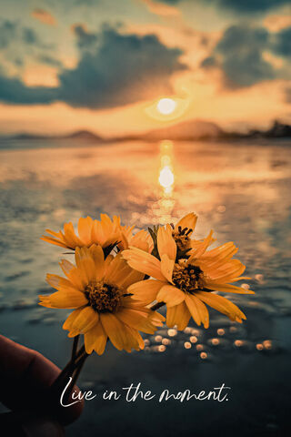 Embrace the Sunset 🌅🌼