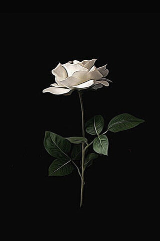 Ethereal Elegance: The ..