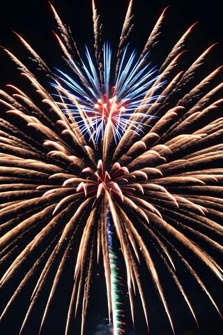Spectacular Fireworks Display 🎆✨