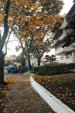Autumn Serenity 🍂
