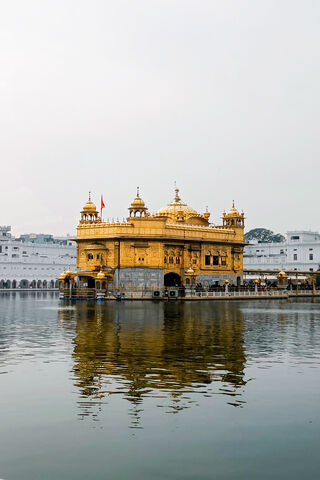 Golden Serenity: The Ma..
