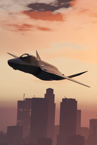 Soaring into the Sunset..