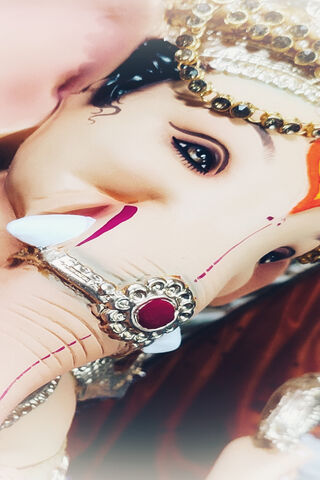 Divine Elegance: The Be..