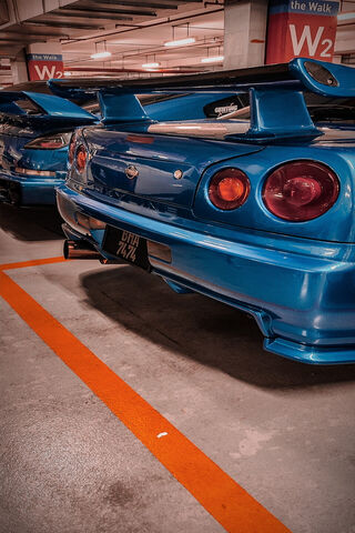 Blue Beauties in the Ga..