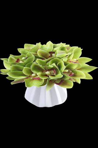 Elegant Orchid Arrangement 🌿🌸