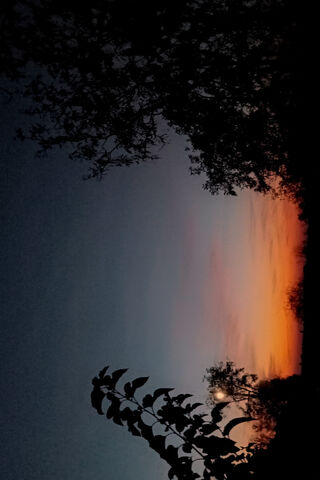 Serene Sunset 🌅