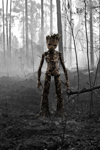 GROOT