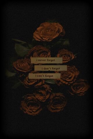 Eternal Remembrance: A ..