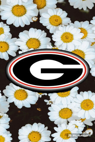 Georgia Bulldogs Floral Background