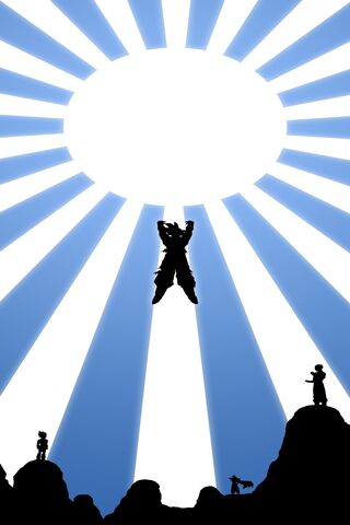 Epic Showdown Under the Sun 🌞