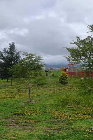 Serene Park Landscape �..