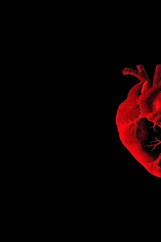 Heart of Life ❤️