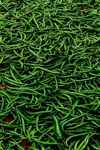 Spicy Green Delight 🌶️✨