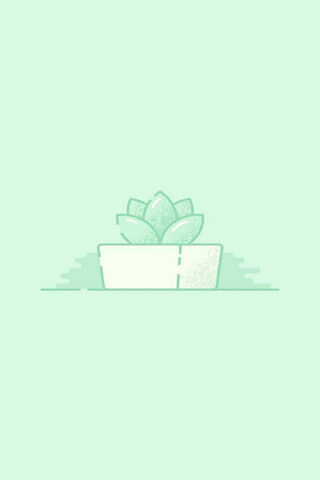 Serene Succulent 🌱✨