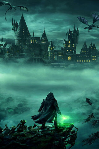Enchanted Night at the ..