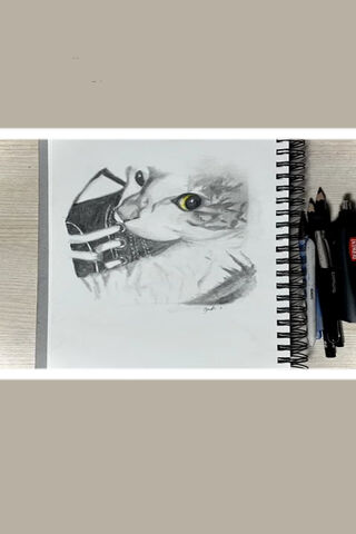 Captivating Cat Sketch 🐱✏️